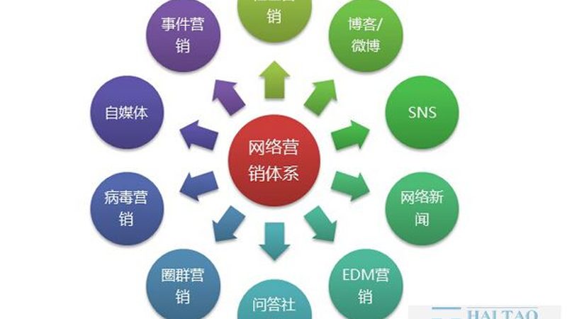 整站优化与SEO：本质区别与实际应用